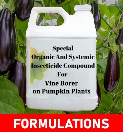 Formulations And Production Process of Organic And Systemic Insecticide Compound For Vine Borer on Pumpkin Plants