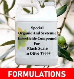 Formulations And Production Process of Organic And Systemic Insecticide Compound For Black Scale in Olive Trees