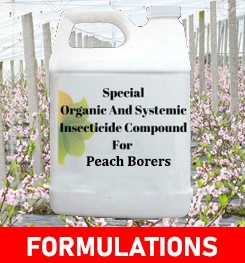 Formulations And Production Process of Organic And Systemic Insecticide Compound For Peach Borers