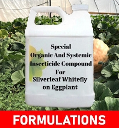 Formulations And Production Process of Organic And Systemic Insecticide Compound For Silverleaf Whitefly on Eggplant