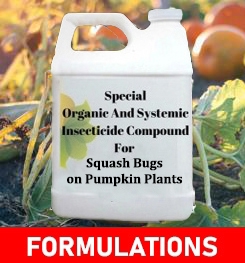 Formulations And Production Process of Organic And Systemic Insecticide Compound For Squash Bugs on Pumpkin Plants