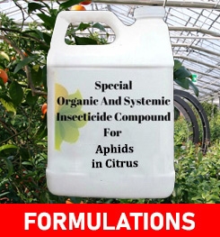 Formulations And Production Process of Organic And Systemic Insecticide Compound For Aphids in Citrus