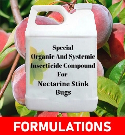 Formulations And Production Process of Organic And Systemic Insecticide Compound For Nectarine Stink Bugs