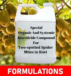 Formulations And Production Process of Organic And Systemic Insecticide Compound For Two-spotted Spider Mites in Kiwi