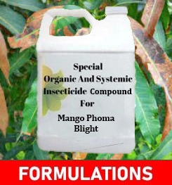 Formulations And Production Process of Organic And Systemic Fungicide Compound For Mango Phoma Blight
