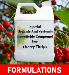 Formulations And Production Process of Organic And Systemic Insecticide Compound For Cherry Thrips