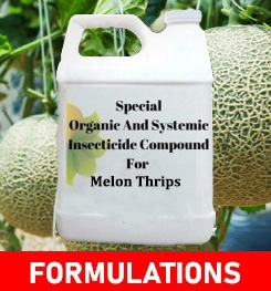 Formulations And Production Process of Organic And Systemic Insecticide Compound For Melon Thrips