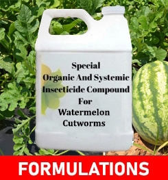 Formulations And Production Process of Organic And Systemic Insecticide Compound For Watermelon Cutworms