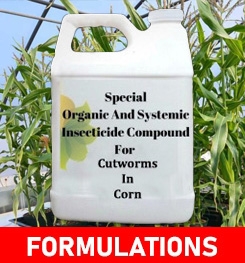 Formulations And Production Process of Organic And Systemic Insecticide Compound For Cutworms In Corn