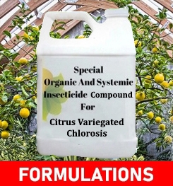 Formulations And Production Process of Organic And Systemic Fungicide Compound For Citrus Variegated Chlorosis
