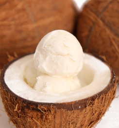 DIET AND LIGHT COCONUT ICE CREAMS ( FACTORY - MADE ) FORMULATIONS AND PRODUCTION PROCESS