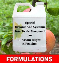 Formulations And Production Process of Organic And Systemic Fungicide Compound For Blossom Blight in Peaches