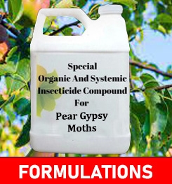 Formulations And Production Process of Organic And Systemic Insecticide Compound For Pear Gypsy Moths