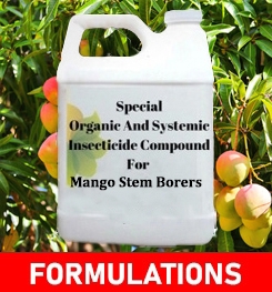 Formulations And Production Process of Organic And Systemic Insecticide Compound For Mango Stem Borers