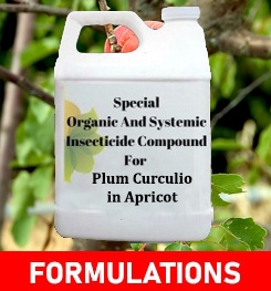 Formulations And Production Process of Organic And Systemic Insecticide Compound For Plum Curculio in Apricot