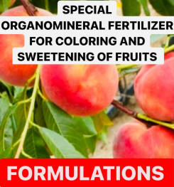 SPECIAL ORGANOMINERAL FERTILIZER FOR COLORING AND SWEETENING OF FRUITS FORMULATIONS AND PRODUCTION PROCESS