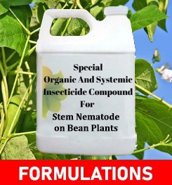 Formulations And Production Process of Organic And Systemic Insecticide Compound For Stem Nematode on Bean Plants