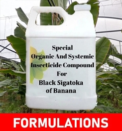 Formulations And Production Process of Organic And Systemic Fungicide Compound For Black Sigatoka of Banana