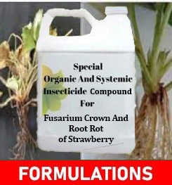 Formulations And Production Process of Organic And Systemic Fungicide Compound For Fusarium Crown And Root Rot of Strawberry