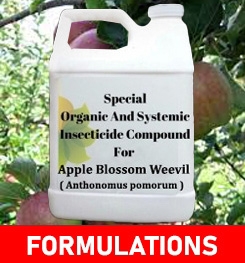 Formulations And Production Process of Organic And Systemic Insecticide Compound For Apple Blossom Weevil ( Anthonomus pomorum )