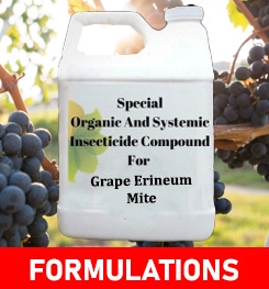 Formulations And Production Process of Organic And Systemic Insecticide Compound For Grape Erineum Mite