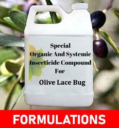 Formulations And Production Process of Organic And Systemic Insecticide Compound For Olive Lace Bug