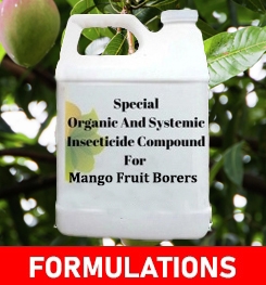 Formulations And Production Process of Organic And Systemic Insecticide Compound For Mango Fruit Borers