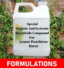 Formulations And Production Process of Organic And Systemic Insecticide Compound For Lesser Peachtree Borer