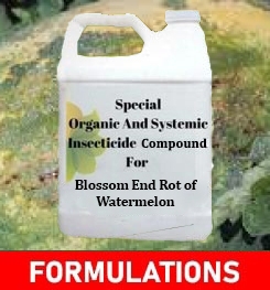 Formulations And Production Process of Organic And Systemic Fungicide Compound For Bacterial Fruit Blotch of Watermelon
