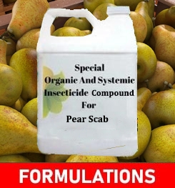 Formulations And Production Process of Organic And Systemic Fungicide Compound For Pear Scab