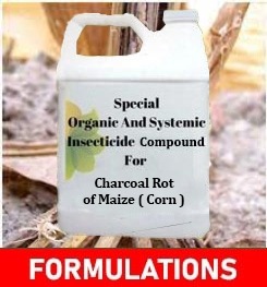 Formulations And Production Process of Organic And Systemic Fungicide Compound For Charcoal Rot of Maize ( Corn )
