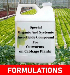 Formulations And Production Process of Organic And Systemic Insecticide Compound For Cutworms on Cabbage Plants