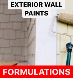 EXTERIOR WALL PAINTS FORMULATIONS AND PRODUCTION PROCESS