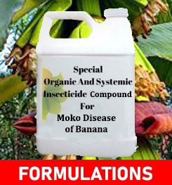 Formulations And Production Process of Organic And Systemic Fungicide Compound For Moko Disease of Banana