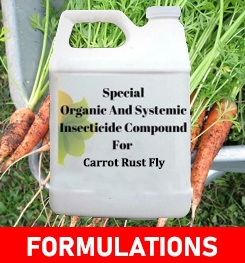 Formulations And Production Process of Organic And Systemic Insecticide Compound For Carrot Rust Fly