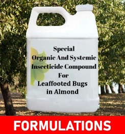 Formulations And Production Process of Organic And Systemic Insecticide Compound For Leaffooted Bugs in Almond