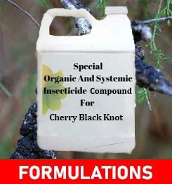 Formulations And Production Process of Organic And Systemic Fungicide Compound For Cherry Black Knot