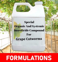 Formulations And Production Process of Organic And Systemic Insecticide Compound For Grape Cutworms