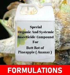 Formulations And Production Process of Organic And Systemic Fungicide Compound For Butt Rot of Pineapple ( Ananas )