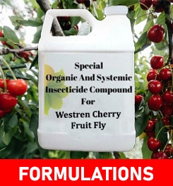 Formulations And Production Process of Organic And Systemic Insecticide Compound For Westren Cherry Fruit Fly