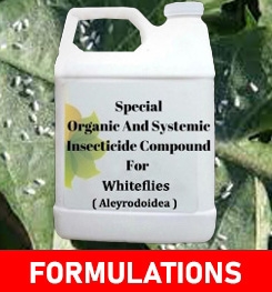 Formulations And Production Process of Organic Insecticide Compound For Whiteflies ( Aleyrodoidea )