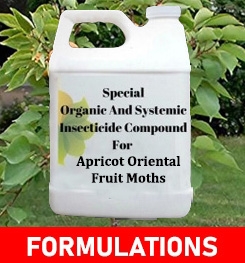 Formulations And Production Process of Organic And Systemic Insecticide Compound For Apricot Oriental Fruit Moths