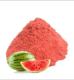 INSTANT MELON JUICE POWDER FORMULATIONS AND PRODUCTION PROCESS