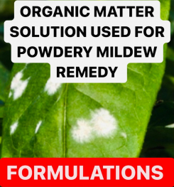 ORGANIC MATTER SOLUTION USED FOR POWDERY MILDEW REMEDY FORMULATIONS AND PRODUCTION PROCESS