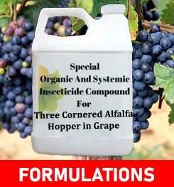 Formulations And Production Process of Organic And Systemic Insecticide Compound For Three Cornered Alfalfa Hopper in Grape