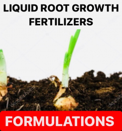 LIQUID ROOT GROWTH FERTILIZERS FORMULATIONS AND PRODUCTION PROCESS