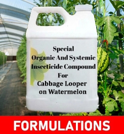 Formulations And Production Process of Organic And Systemic Insecticide Compound For Cabbage Looper on Watermelon