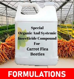 Formulations And Production Process of Organic And Systemic Insecticide Compound For Carrot Flea Beetles