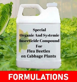 Formulations And Production Process of Organic And Systemic Insecticide Compound For Flea Beetles on Cabbage Plants