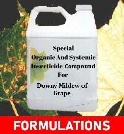 Formulations And Production Process of Organic And Systemic Fungicide Compound For Downy Mildew of Grape
